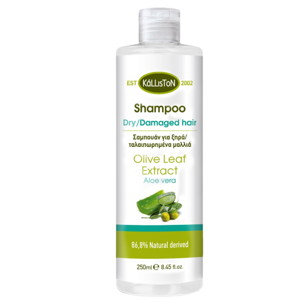 Kalliston - Shampoo with Aloe Vera for dry and damaged hair